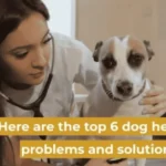 6 tips to prevent health problems in dogs