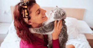 8 Signs Your Cat Loves You