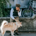how to get your dog to come when called