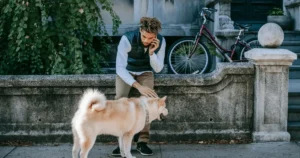how to get your dog to come when called