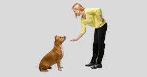 how to teach a dog how to speak