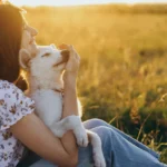 how to get your dog to love you